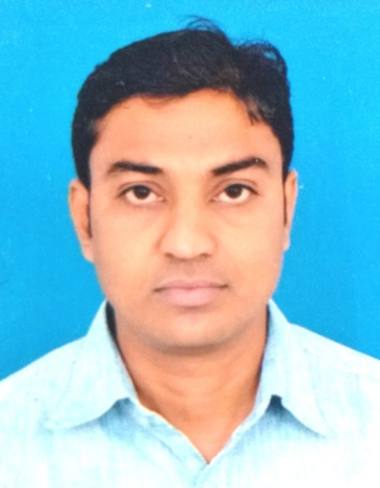 Mr. D.N. Sheth